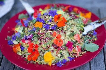 Noosa Valley Manor B&B Doonan Bed & Breakfast
